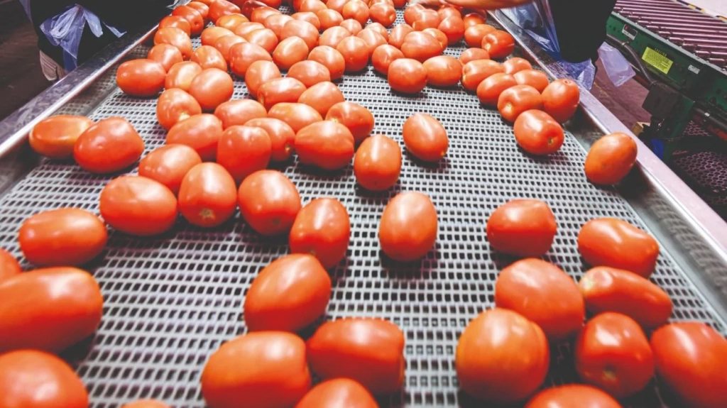 Fotografía de: El Horizonte