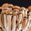 Mushroom mania: Hongos exóticos como protagonistas de la cocina